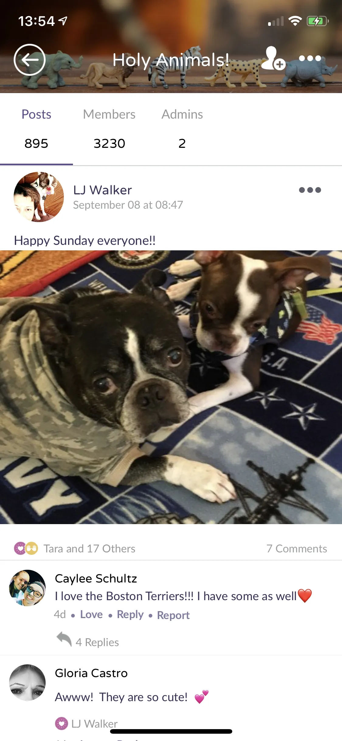 FaithSocial App Interface - Profile